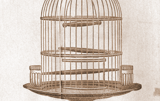 illuminati-symbols-birdcage