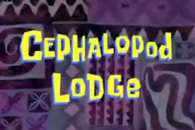 Cephalopod Lodge